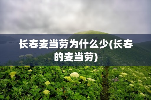 长春麦当劳为什么少(长春的麦当劳)
