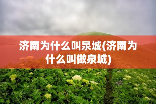 济南为什么叫泉城(济南为什么叫做泉城)