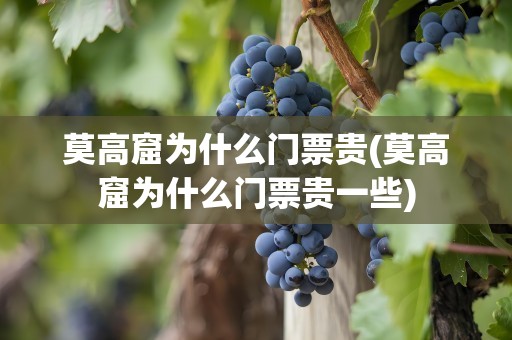 莫高窟为什么门票贵(莫高窟为什么门票贵一些)