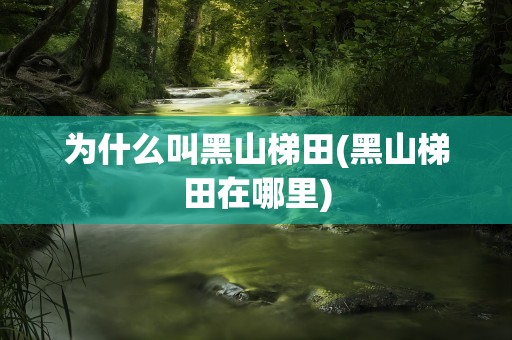 为什么叫黑山梯田(黑山梯田在哪里)