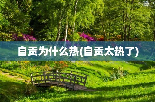 自贡为什么热(自贡太热了)