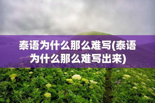 泰语为什么那么难写(泰语为什么那么难写出来)