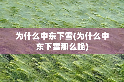 为什么中东下雪(为什么中东下雪那么晚)