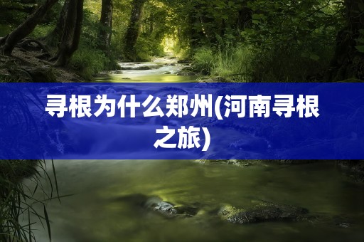 寻根为什么郑州(河南寻根之旅)