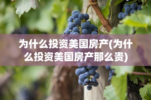为什么投资美国房产(为什么投资美国房产那么贵)