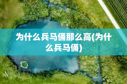 为什么兵马俑那么高(为什么兵马俑)