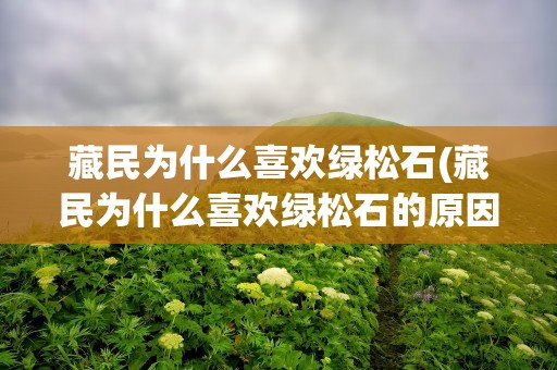 藏民为什么喜欢绿松石(藏民为什么喜欢绿松石的原因)