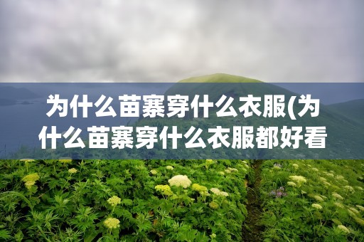 为什么苗寨穿什么衣服(为什么苗寨穿什么衣服都好看)
