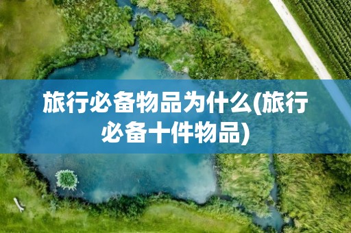 旅行必备物品为什么(旅行必备十件物品)