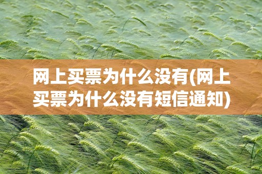 网上买票为什么没有(网上买票为什么没有短信通知)