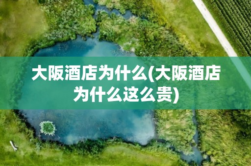 大阪酒店为什么(大阪酒店为什么这么贵)