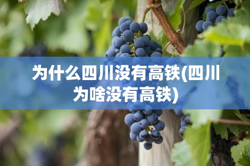 为什么四川没有高铁(四川为啥没有高铁)