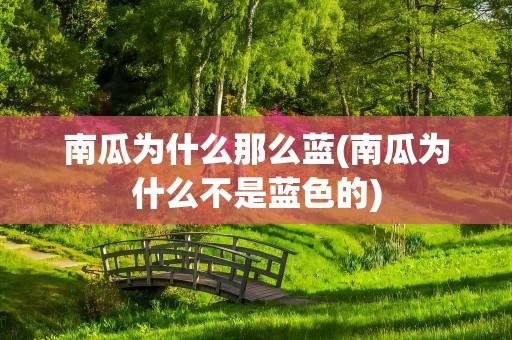 南瓜为什么那么蓝(南瓜为什么不是蓝色的)