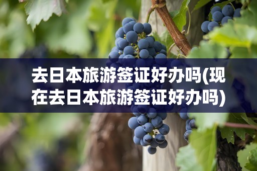 去日本旅游签证好办吗(现在去日本旅游签证好办吗)