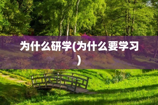 为什么研学(为什么要学习)