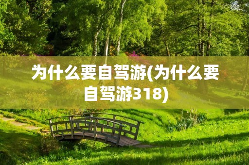 为什么要自驾游(为什么要自驾游318)