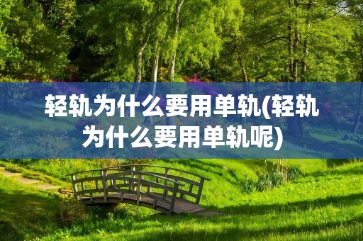 轻轨为什么要用单轨(轻轨为什么要用单轨呢)