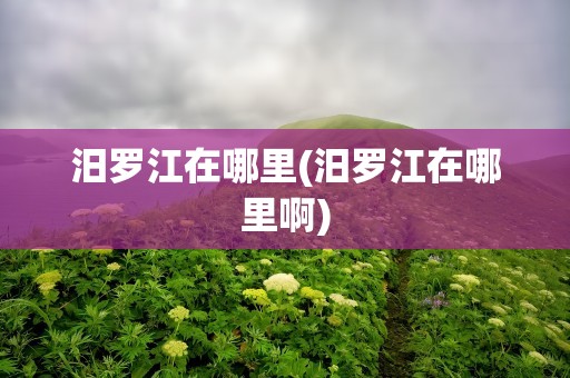 汨罗江在哪里(汨罗江在哪里啊)