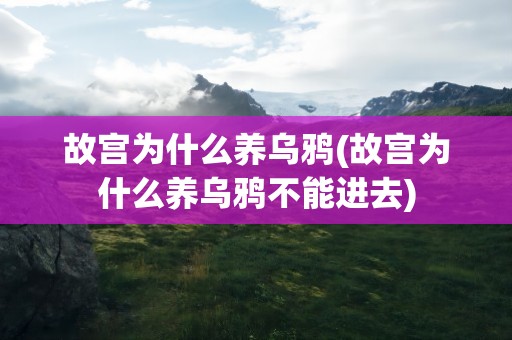 故宫为什么养乌鸦(故宫为什么养乌鸦不能进去)