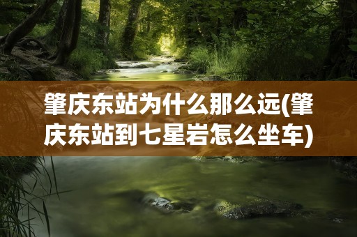 肇庆东站为什么那么远(肇庆东站到七星岩怎么坐车)