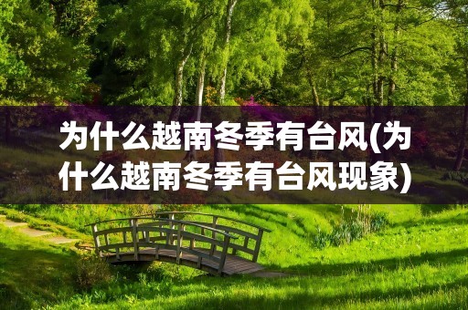 为什么越南冬季有台风(为什么越南冬季有台风现象)
