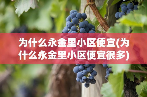 为什么永金里小区便宜(为什么永金里小区便宜很多)