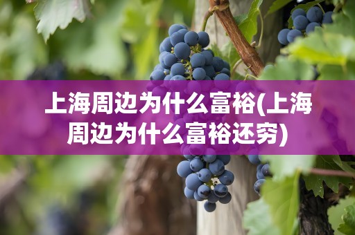 上海周边为什么富裕(上海周边为什么富裕还穷)