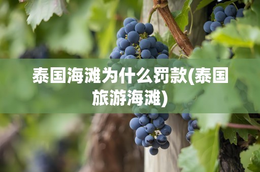 泰国海滩为什么罚款(泰国旅游海滩)