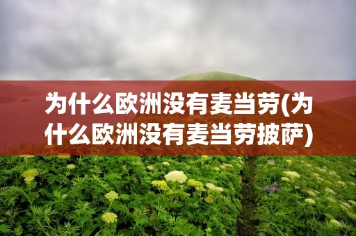 为什么欧洲没有麦当劳(为什么欧洲没有麦当劳披萨)