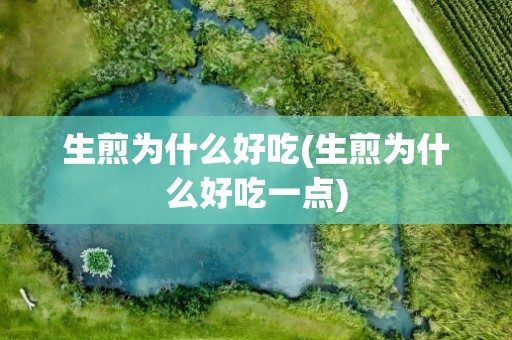 生煎为什么好吃(生煎为什么好吃一点)