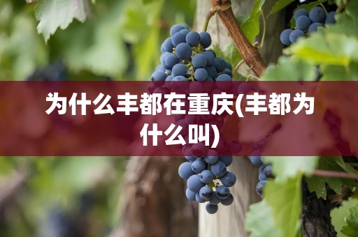 为什么丰都在重庆(丰都为什么叫)