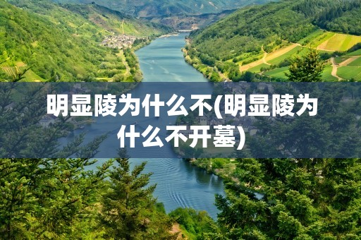 明显陵为什么不(明显陵为什么不开墓)