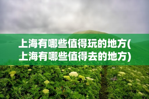 上海有哪些值得玩的地方(上海有哪些值得去的地方)