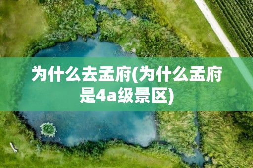 为什么去孟府(为什么孟府是4a级景区)
