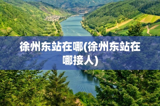 徐州东站在哪(徐州东站在哪接人)
