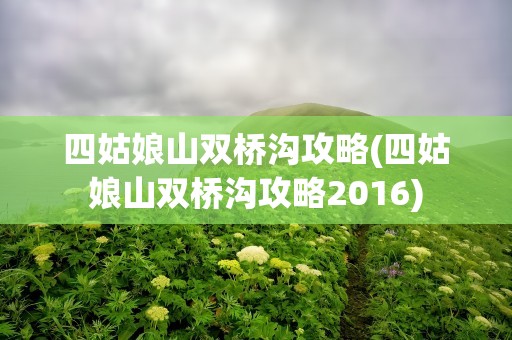 四姑娘山双桥沟攻略(四姑娘山双桥沟攻略2016)