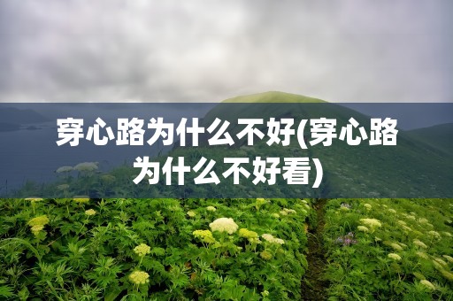 穿心路为什么不好(穿心路为什么不好看)
