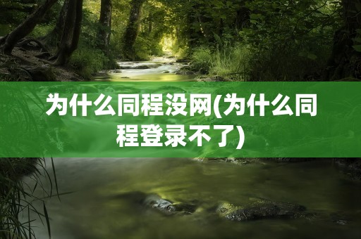 为什么同程没网(为什么同程登录不了)