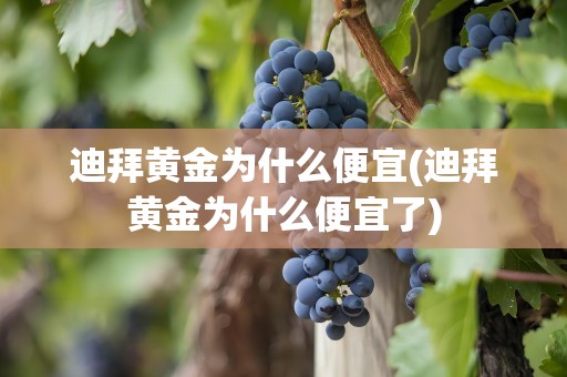 迪拜黄金为什么便宜(迪拜黄金为什么便宜了)