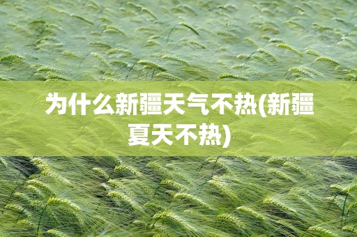 为什么新疆天气不热(新疆夏天不热)