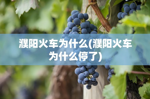 濮阳火车为什么(濮阳火车为什么停了)
