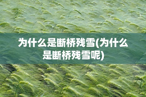 为什么是断桥残雪(为什么是断桥残雪呢)