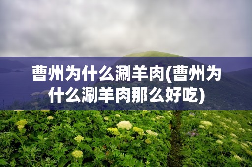 曹州为什么涮羊肉(曹州为什么涮羊肉那么好吃)