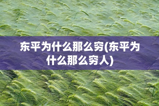 东平为什么那么穷(东平为什么那么穷人)