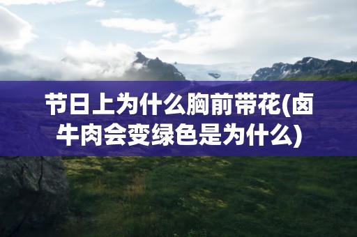 节日上为什么胸前带花(卤牛肉会变绿色是为什么)