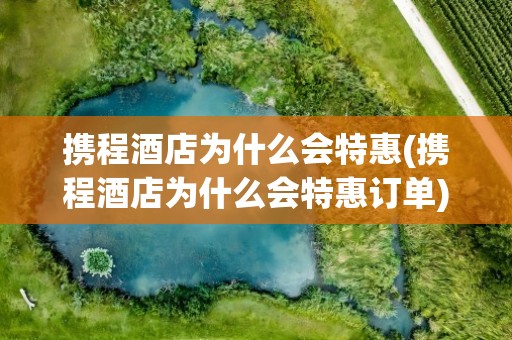 携程酒店为什么会特惠(携程酒店为什么会特惠订单)