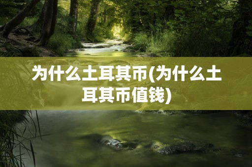 为什么土耳其币(为什么土耳其币值钱)