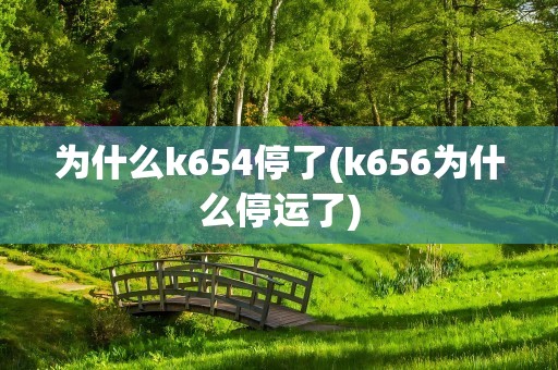 为什么k654停了(k656为什么停运了)