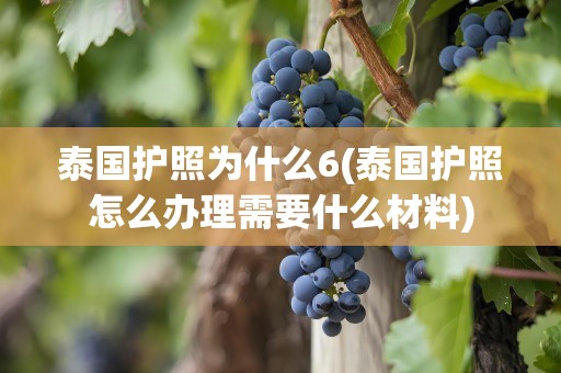 泰国护照为什么6(泰国护照怎么办理需要什么材料)