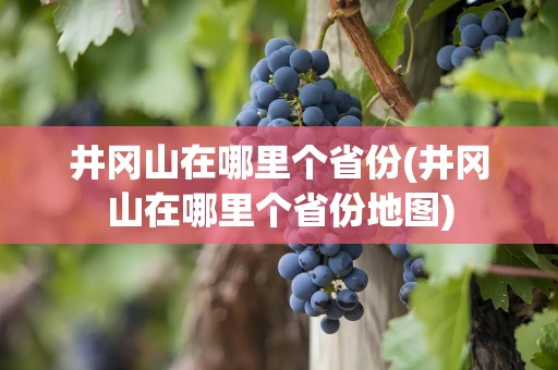 井冈山在哪里个省份(井冈山在哪里个省份地图)